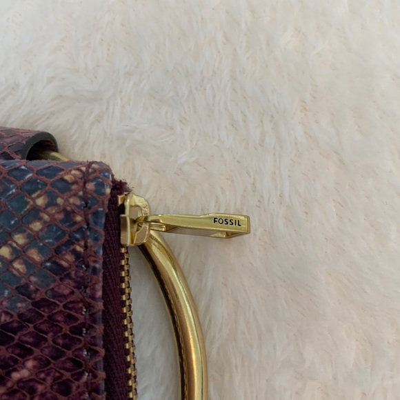 Fossil clutch - Picture 5 of 14